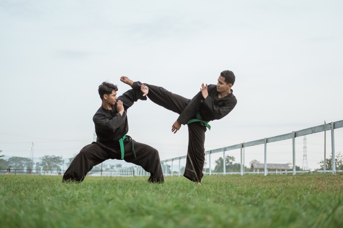 Silat: The Art of Southeast Asian Self-Defense - Quiz Challenge - Think ...